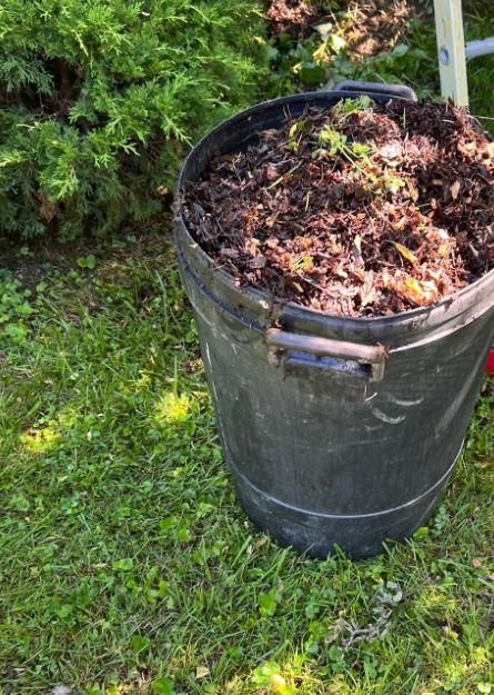 Bucket filled with wet leaf debris standing on the grass, gutter cleaning in Libertyville, IL
