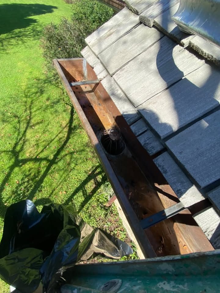 Cleaned-out gutter with a wire strainer in the downspout outlet, gutter cleaning in Zion, IL
