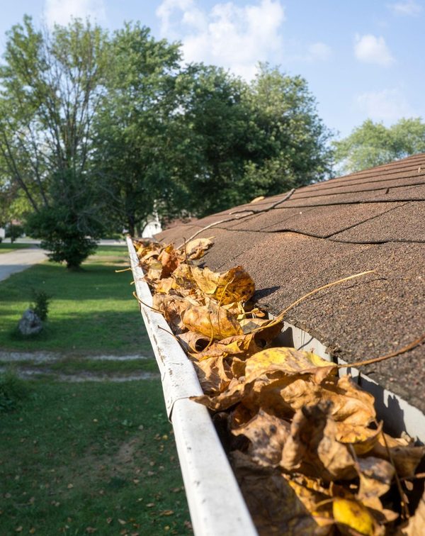 Gutter full of dry fall leaves beside a shingle roof