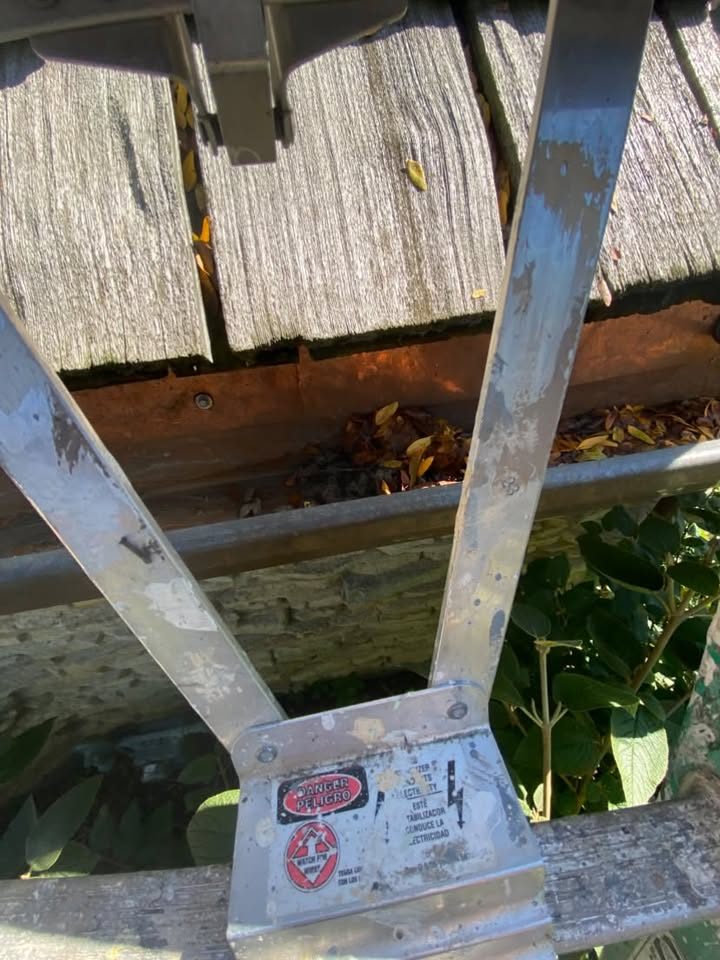 Dry leaves sitting in a gutter under cedar shakes, seen through a ladder stand-off, gutter cleaning in Libertyville, IL