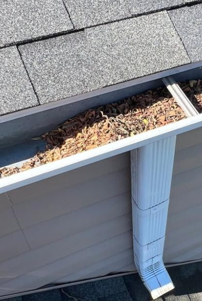 White gutter filled with pine needles above a downspout, gutter cleaning in Libertyville, IL