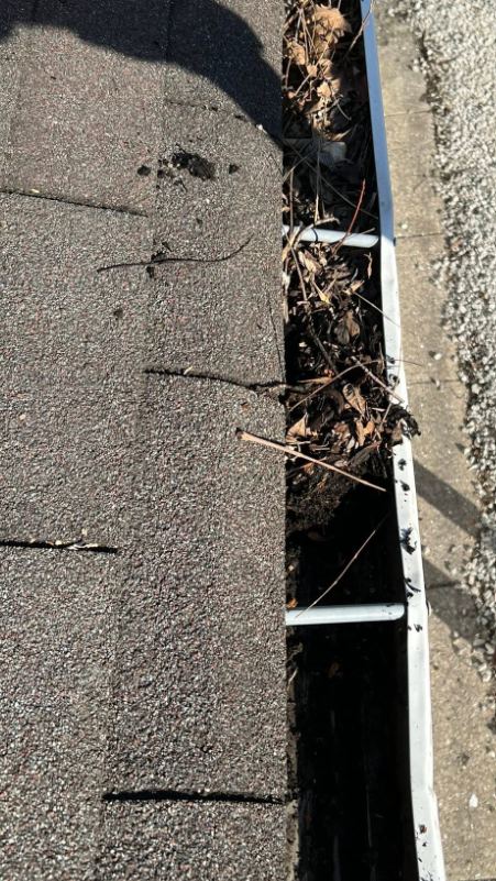 Gutter holding dry leaves and twigs along the edge of a shingle roof, gutter cleaning in Libertyville, IL